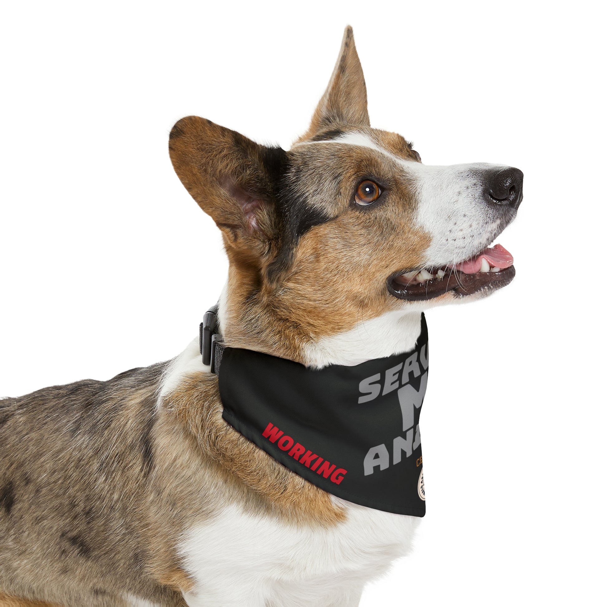 Service Me! Working Animal - Black Pet Bandana Collar - Kolohe Ko., Furry Nation - Kolohe Ko