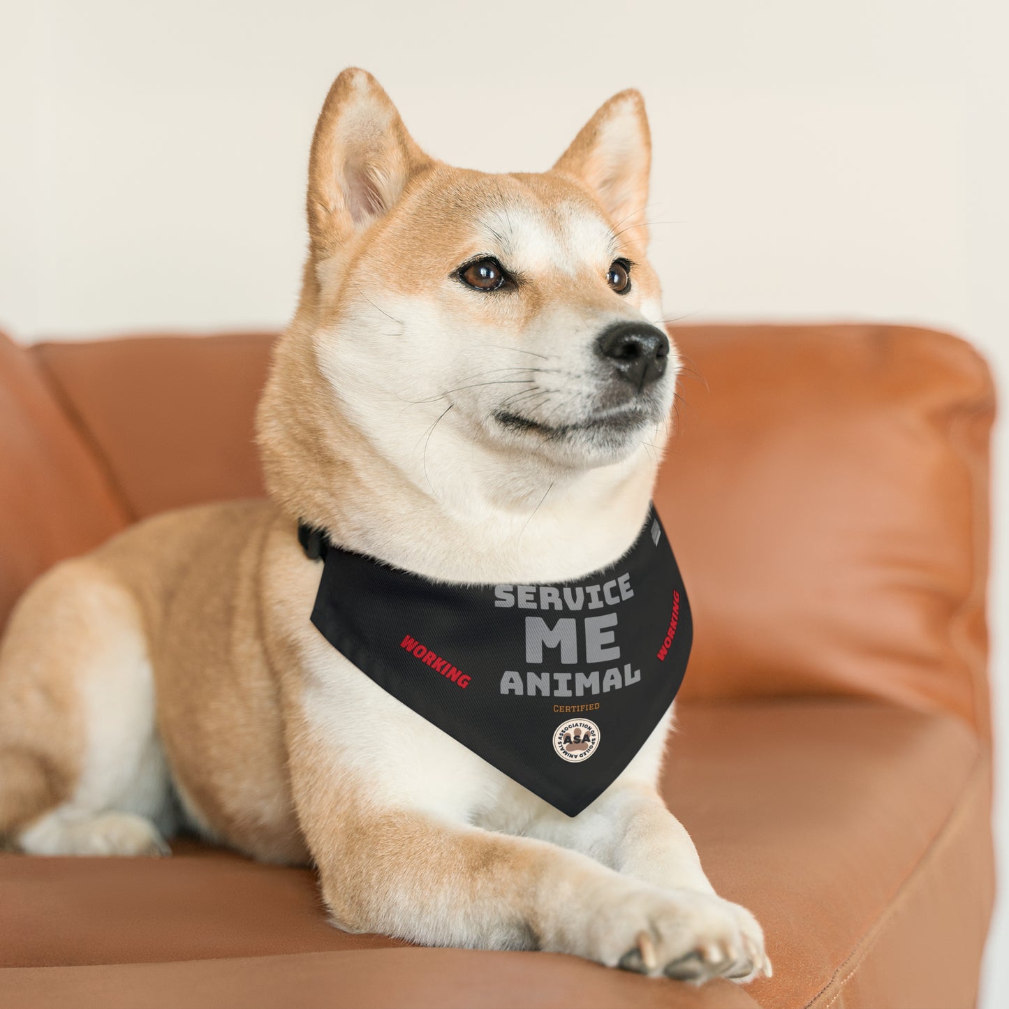 Service Me! Working Animal - Black Pet Bandana Collar - Kolohe Ko., Furry Nation - Kolohe Ko